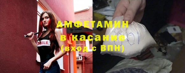 дурь Инсар