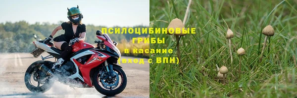 герыч Инта