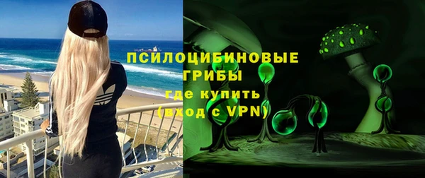 дурь Инсар
