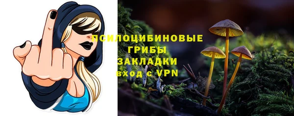 дурь Инсар